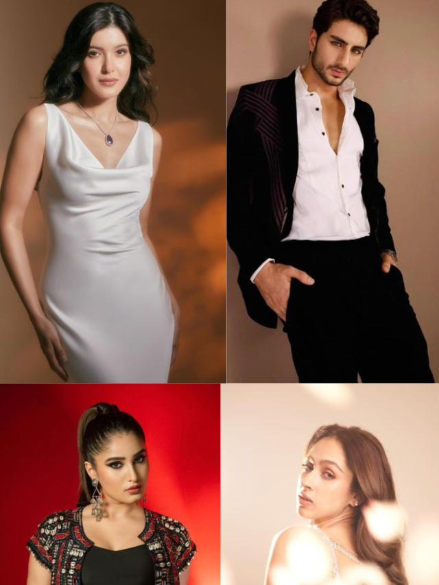 Star kids who are going to make their Bollywood debut in 2024