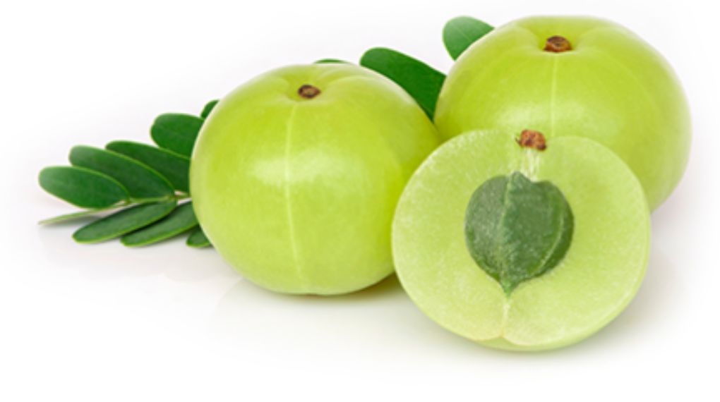 Benefits of Amla